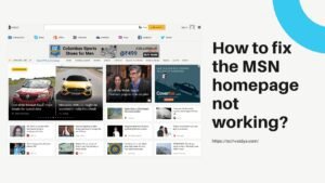 How to fix the MSN homepage not working 300x169 1